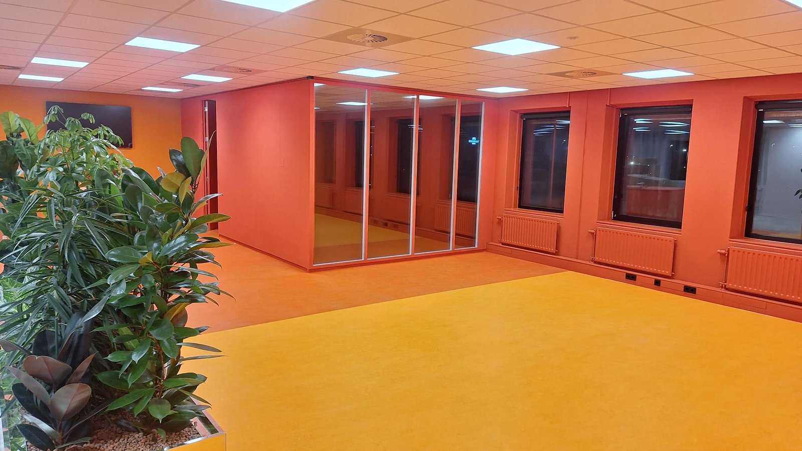 WhatsApp Image 2025-10-22 at 20.46.10